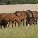 Country house Ranch 79 Smedcice