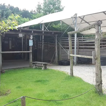Ranch 79 Smedcice