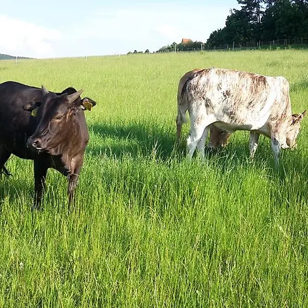Landhuis Ranch 79